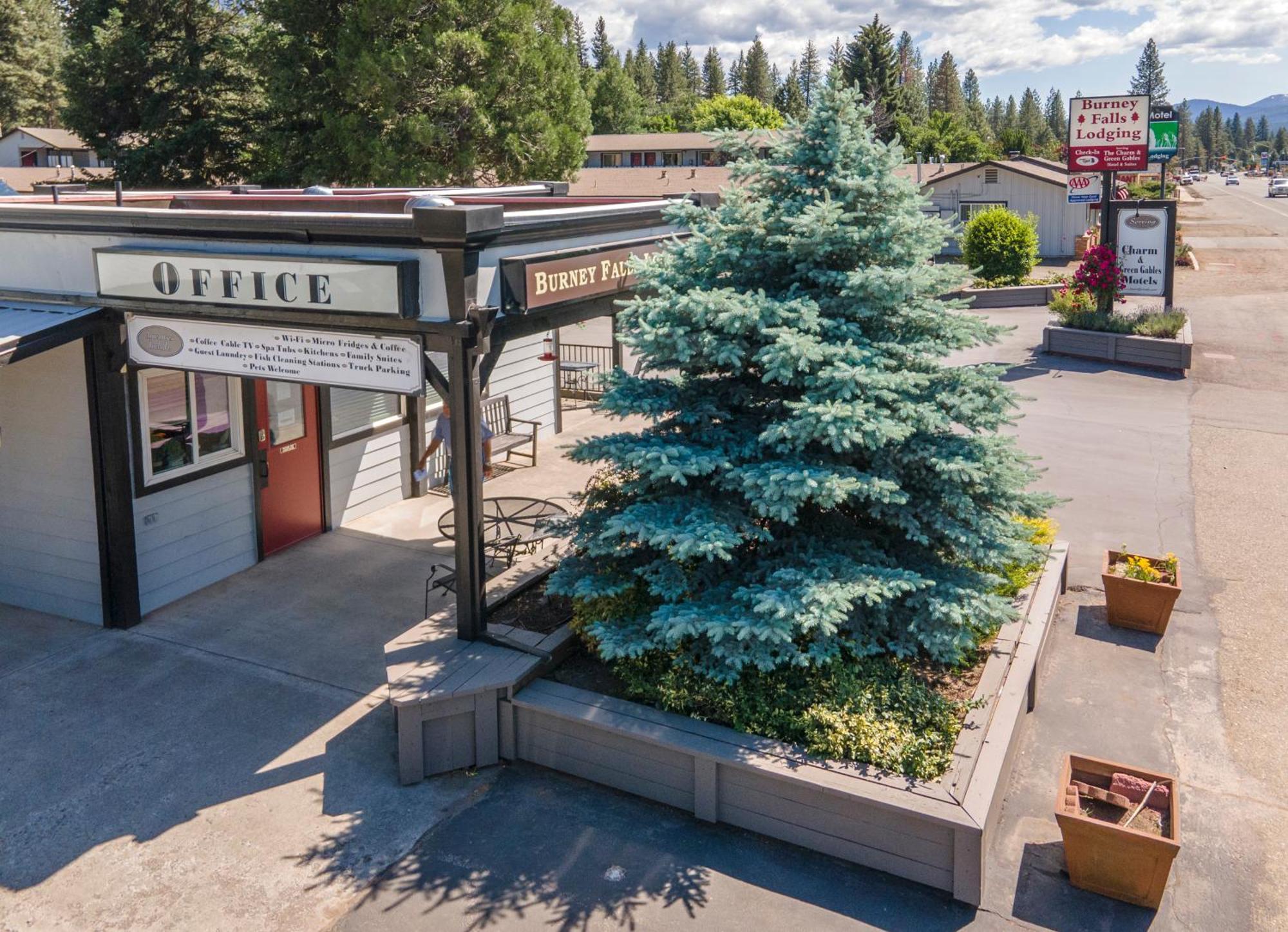 Charm Motel & Suites Burney Extérieur photo